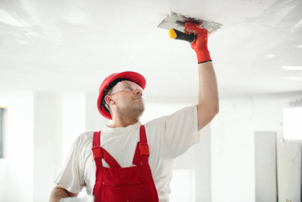 Best Basement Mold Removal  in Nashville, GA